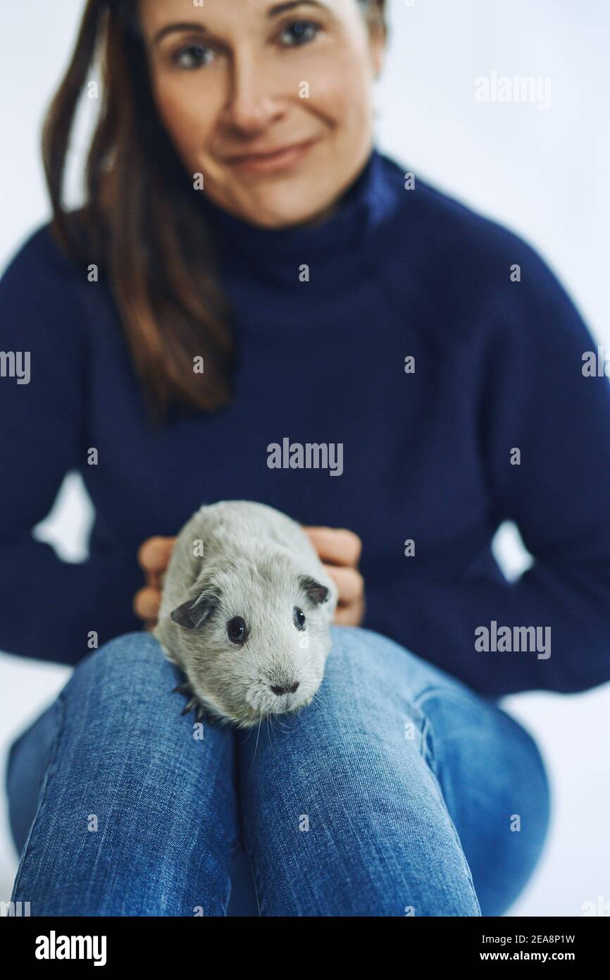 Bruna donna felice che tiene un porcellino d'India grigio seduto sopra le ginocchia guardando la fotocamera Foto Stock