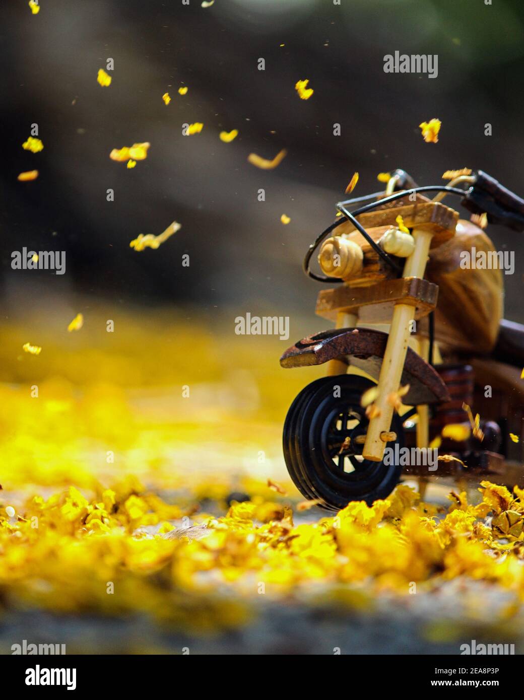 Tiro verticale di moto su strada in autunno Foto Stock