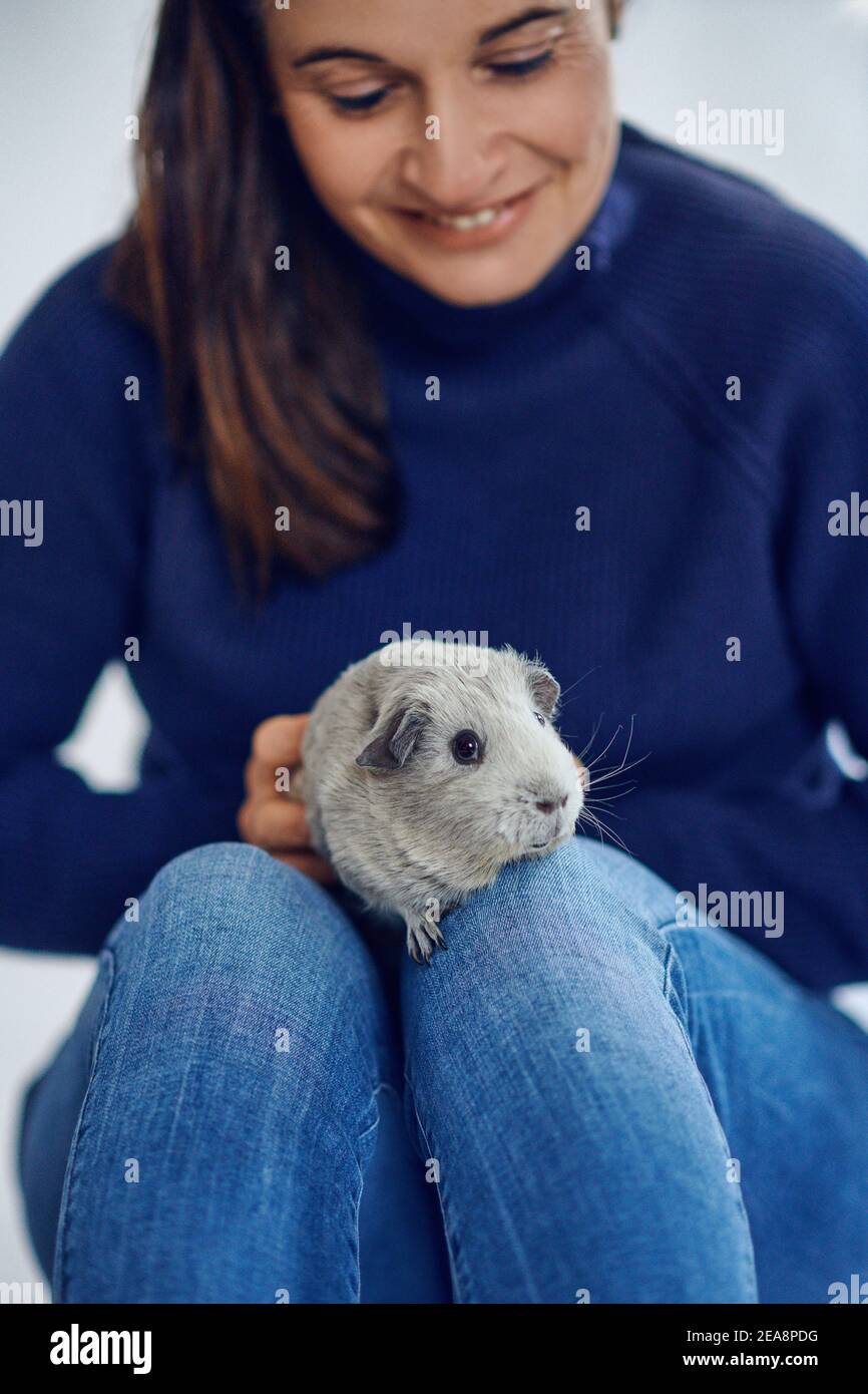 Bruna donna felice che tiene un porcellino d'India grigio seduto sopra le ginocchia guardando la fotocamera Foto Stock