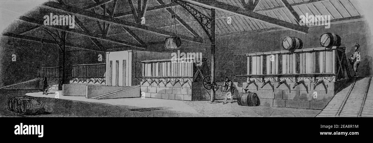le depotoir, grotta a vin, tableau de paris par edmond texier, editeur paulin et le chevalier 1852 Foto Stock