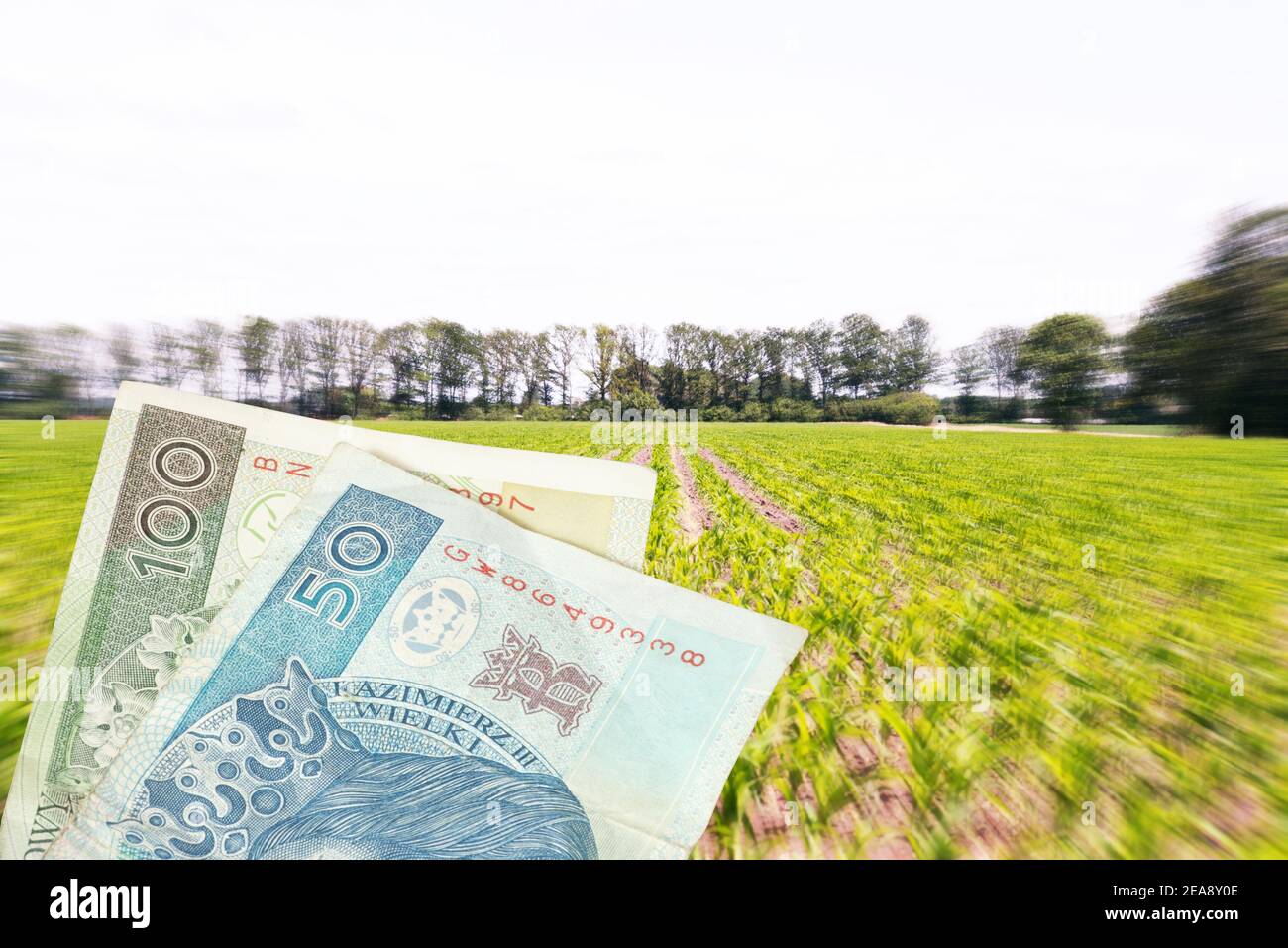 Denaro Polacco zloty PLN e l'agricoltura in Polonia Foto Stock