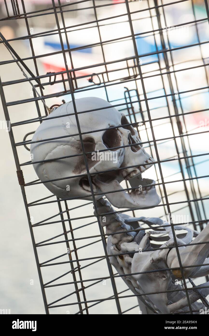 Uno scheletro umano artificiale e gabbiato che domina il porto interno di Brixham. Brixham ha una grande flotta da pesca, è popolare tra i turisti ed è ospite di una p Foto Stock