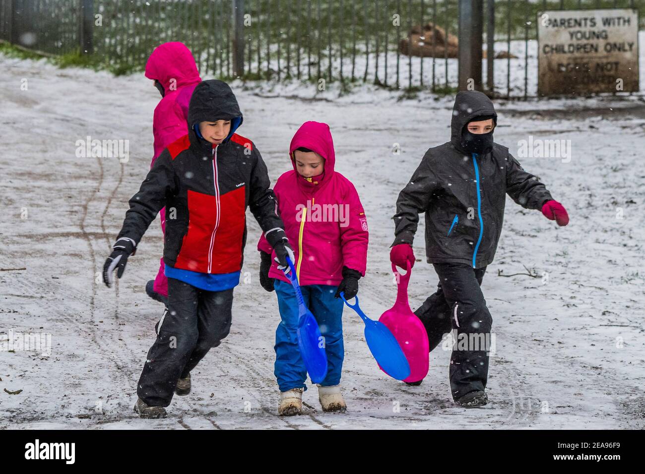 Londra, Regno Unito. 8 Feb 2021. Una fredda giornata innevata sul Clapham Common. E 'abbastanza occupato, nonostante Lockdown 3, come la gente cerca aria fresca e l'esercizio. Credit: Guy Bell/Alamy Live News Foto Stock