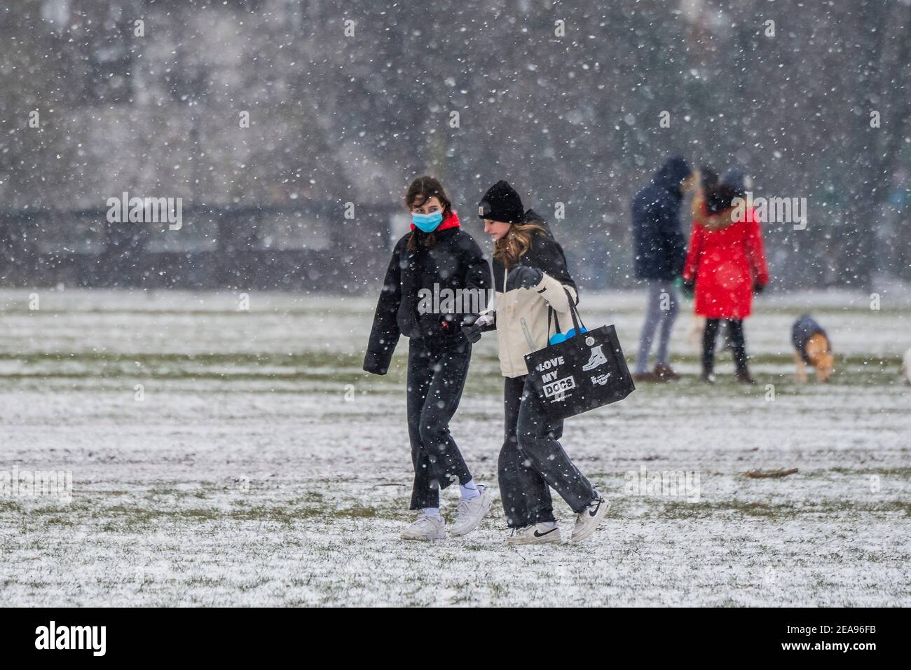 Londra, Regno Unito. 8 Feb 2021. Love my Docs - UNA giornata fredda innevata su Clapham Common. E 'abbastanza occupato, nonostante Lockdown 3, come la gente cerca aria fresca e l'esercizio. Credit: Guy Bell/Alamy Live News Foto Stock