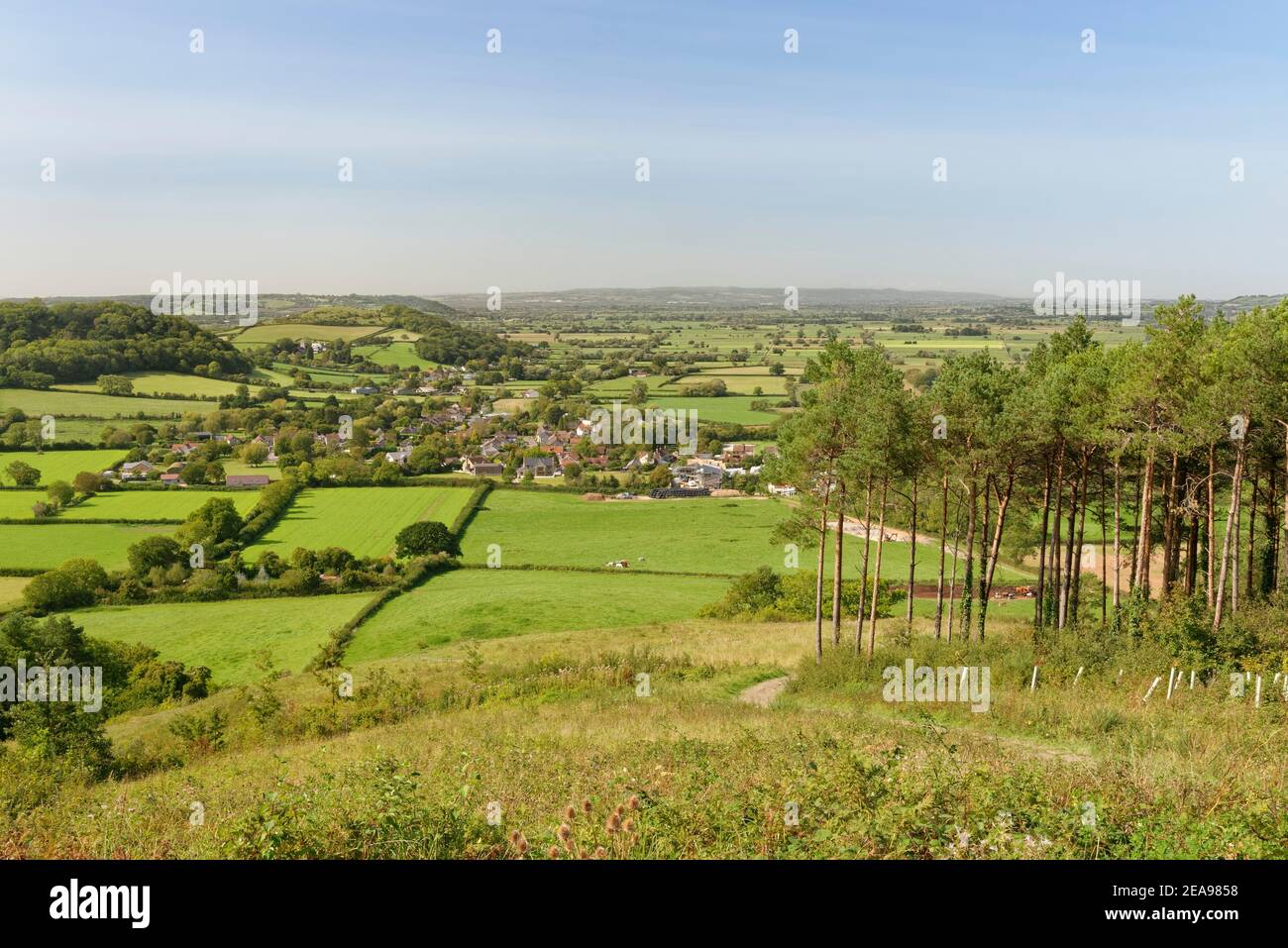 Panoramica del villaggio di Compton Dundon e dei livelli del Somerset da Combe Hill, Somerset, Regno Unito, settembre. Foto Stock