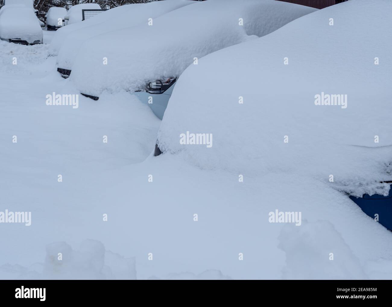 Il commercio di auto usate completamente innevato nel caos della neve Foto Stock