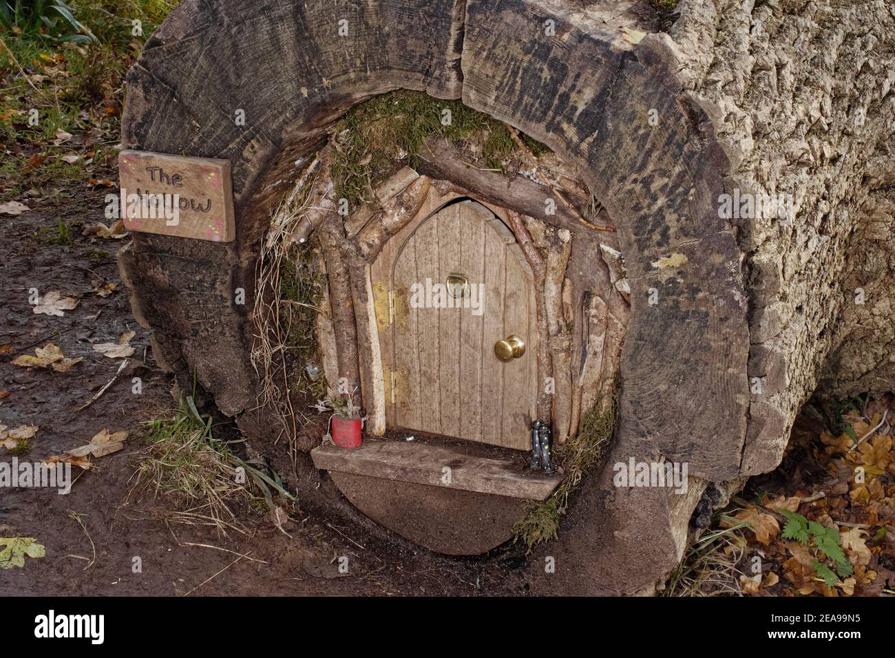 Fata casa 'The Hollow' costruita all'interno di un ceppo cavo, con una porta apribile, stivali in miniatura e un libro per i visitatori all'interno, vicino a Castle Combe, Wiltshire UK Foto Stock
