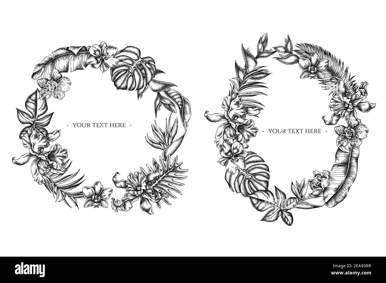 Corona floreale di monstera bianca e nera, foglie di banana palma, strelitzia, heliconia, foglie di palma tropicali, orchidee Illustrazione Vettoriale