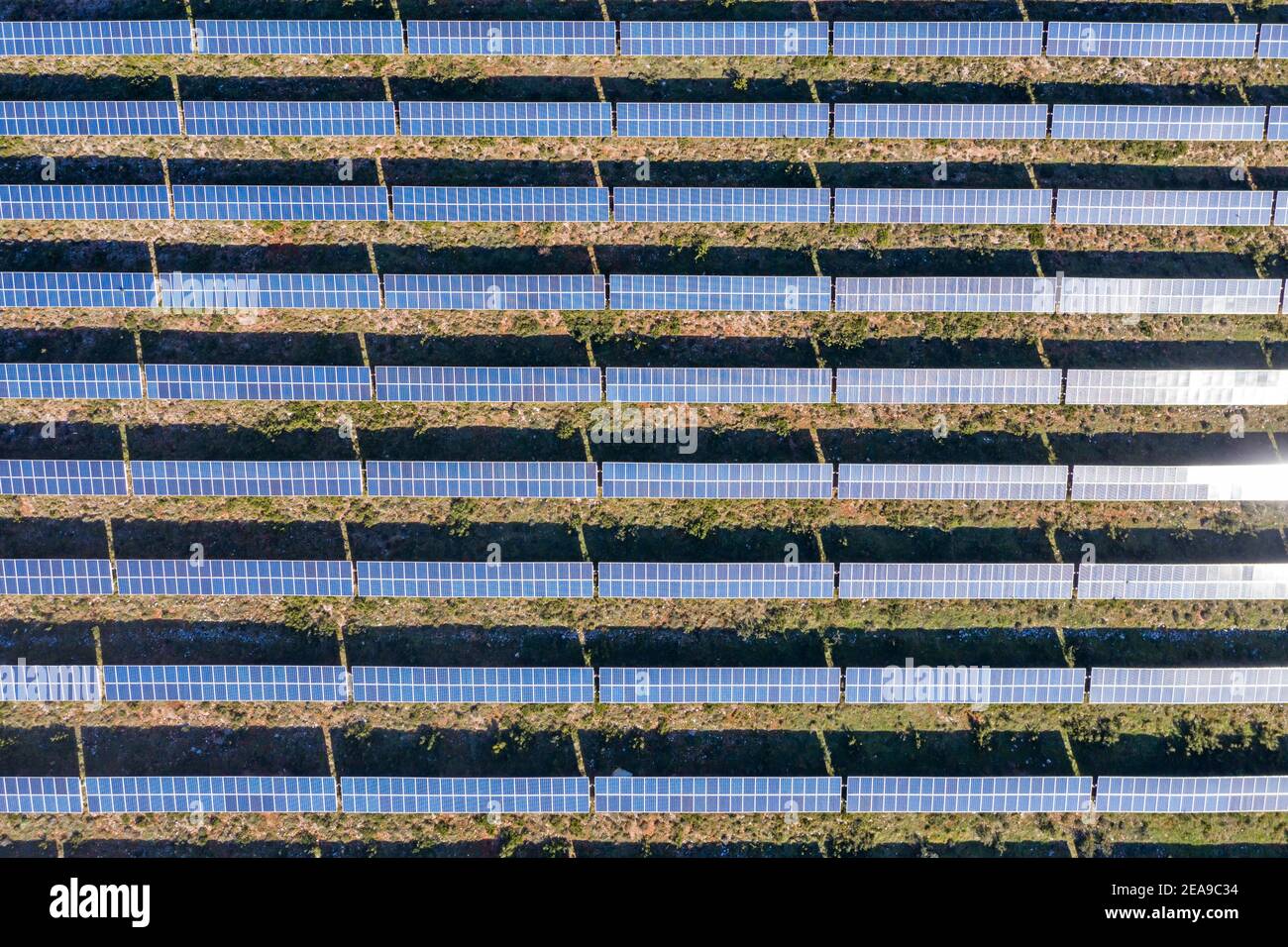 Energia solare, sfondo pannelli, concetto di generazione di energia verde alternativa. Centrale elettrica industriale rinnovabile verde eco, vista dall'alto dell'antenna drone. Foto Stock