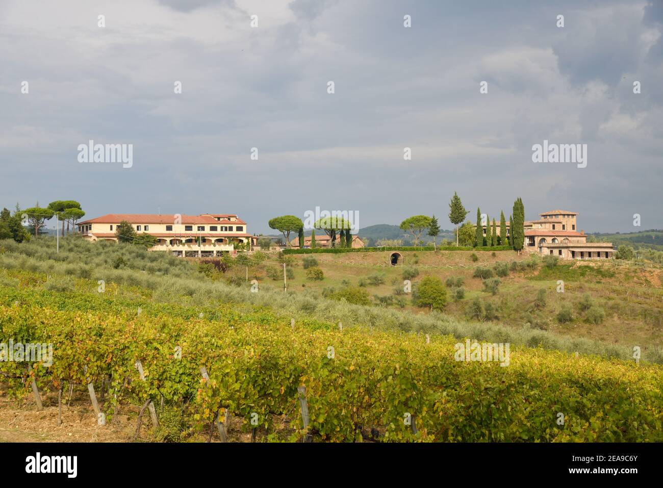 Paesaggio vicino Firenze a Toscane, Italia Foto Stock