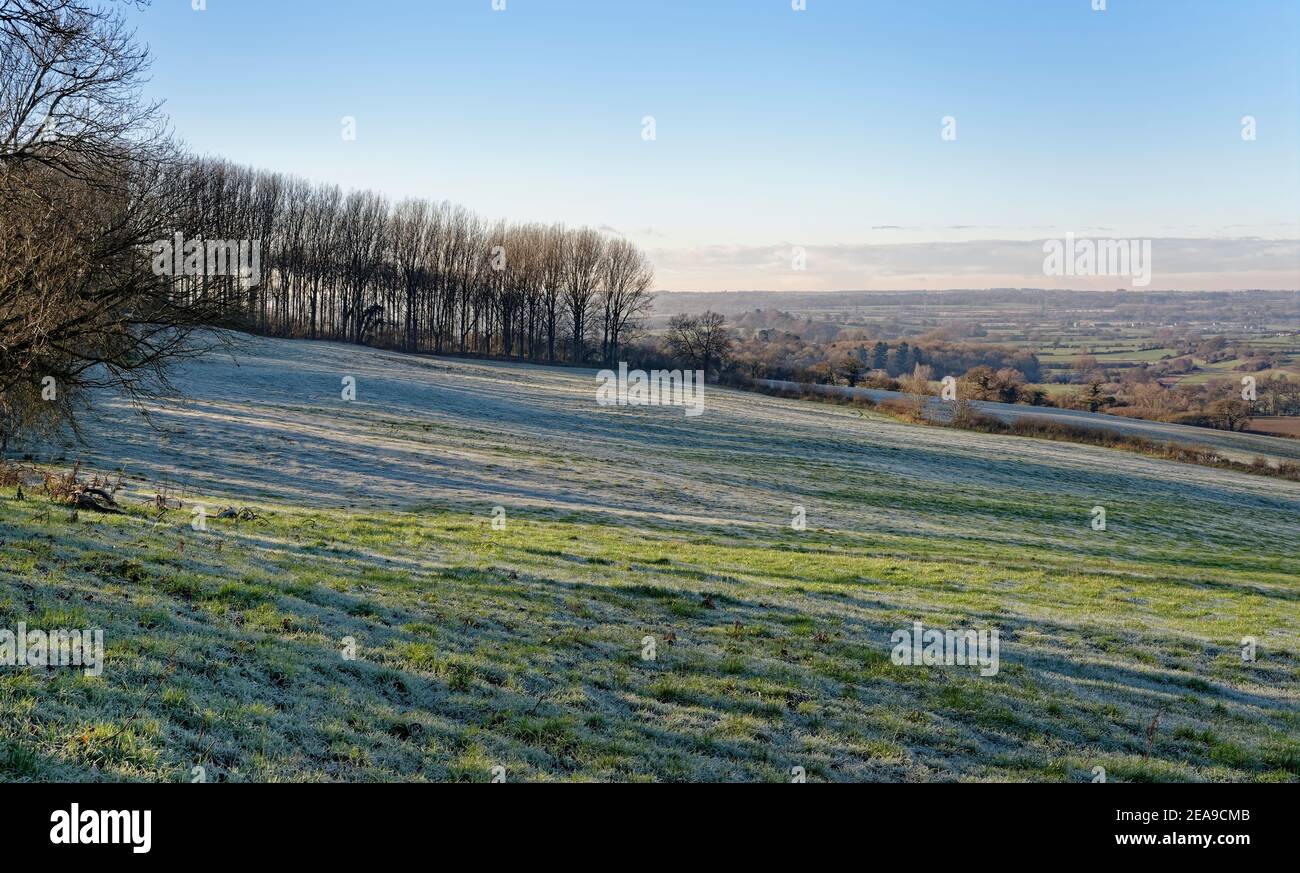 Frozen Pastureland un freddo pomeriggio invernale, Nocketts Hill, vicino a Derry Hill, Wiltshire, Regno Unito, dicembre. Foto Stock