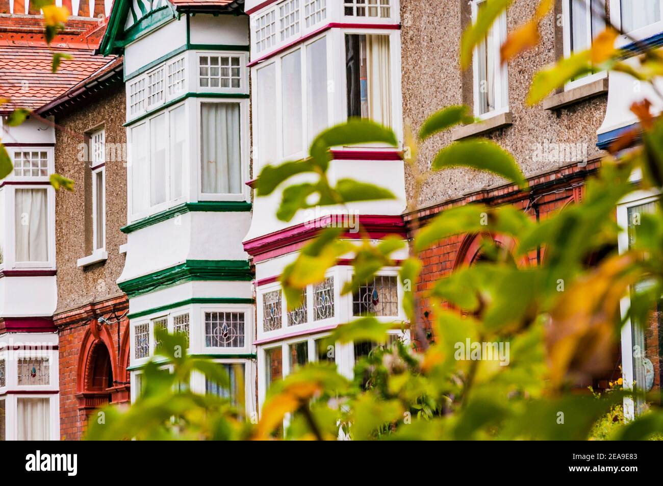 Case dall'architettura tradizionale. Bray, County Wicklow, Leinster, Irlanda, Europa Foto Stock