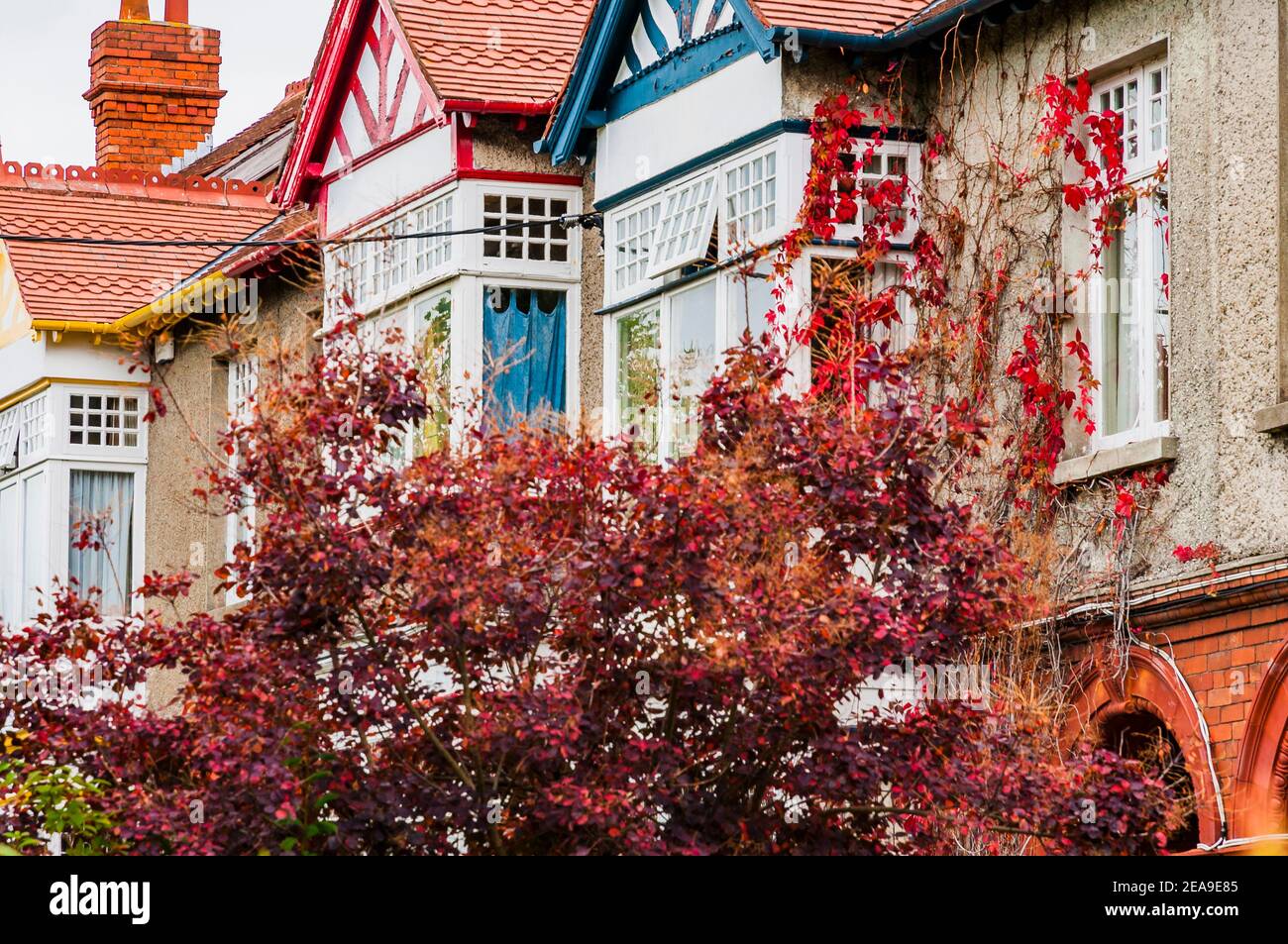 Case dall'architettura tradizionale. Bray, County Wicklow, Leinster, Irlanda, Europa Foto Stock