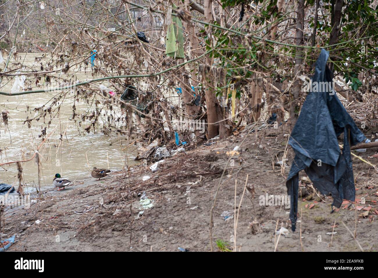 Roma, Italia 03/02/2021: Fiume Tevere dopo l'alluvione. © Andrea Sabbadini Foto Stock