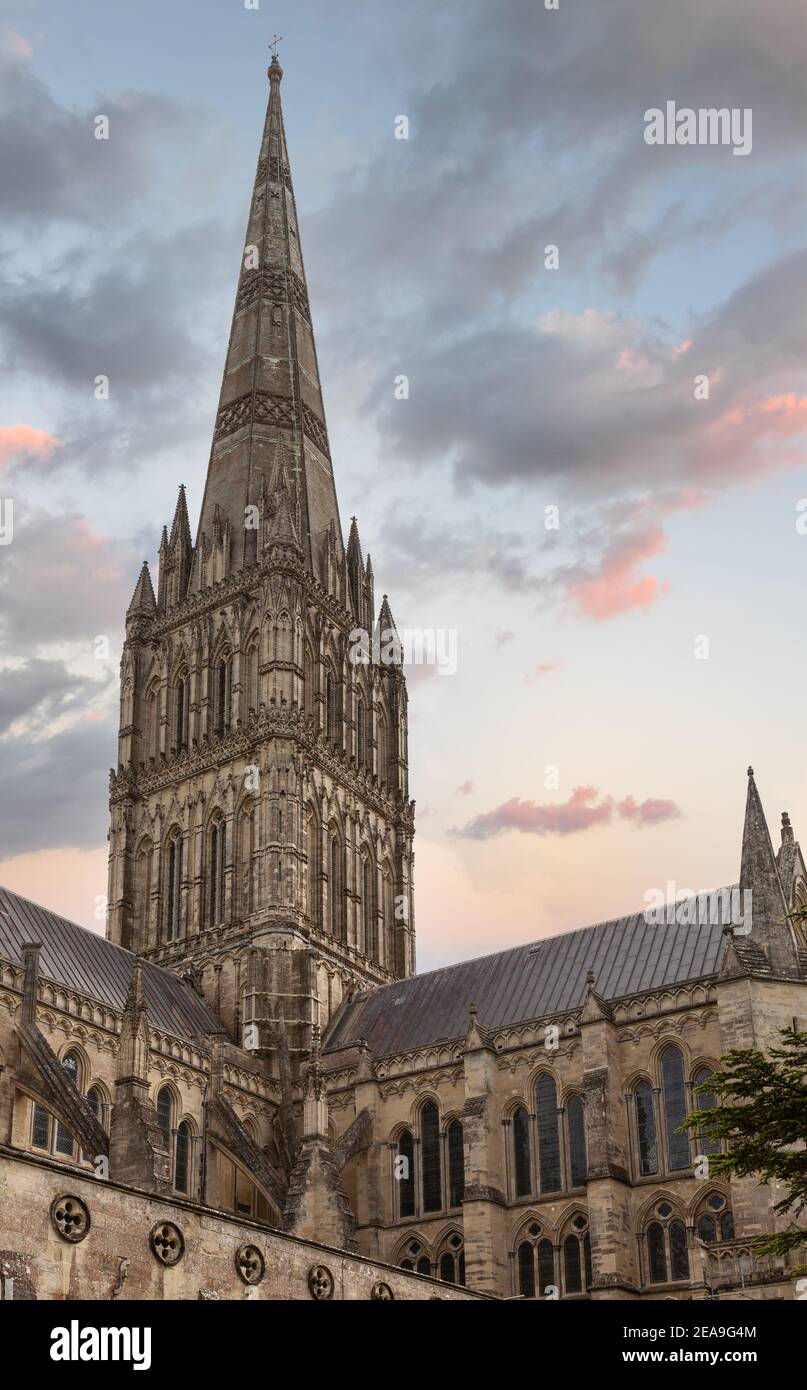 Cattedrale della Beata Vergine Maria con la guglia più alta del Regno Unito, Salisbury, Wiltshire, Inghilterra sud-occidentale Foto Stock