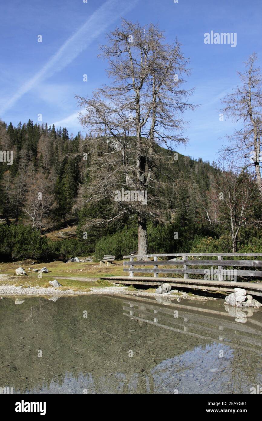 Austria, Tirolo, Ehrwald, Seebensee, Zugspitze, specchio, superficie d'acqua, massiccio dello Zugspitz, lago, lago di montagna, montagne, alpi, Monti Wetterstein, paesaggio montano, paesaggio montano, idillio, massiccio montano, cielo, roccia, lago di montagna, acqua, turismo, deserto, natura, Foto Stock