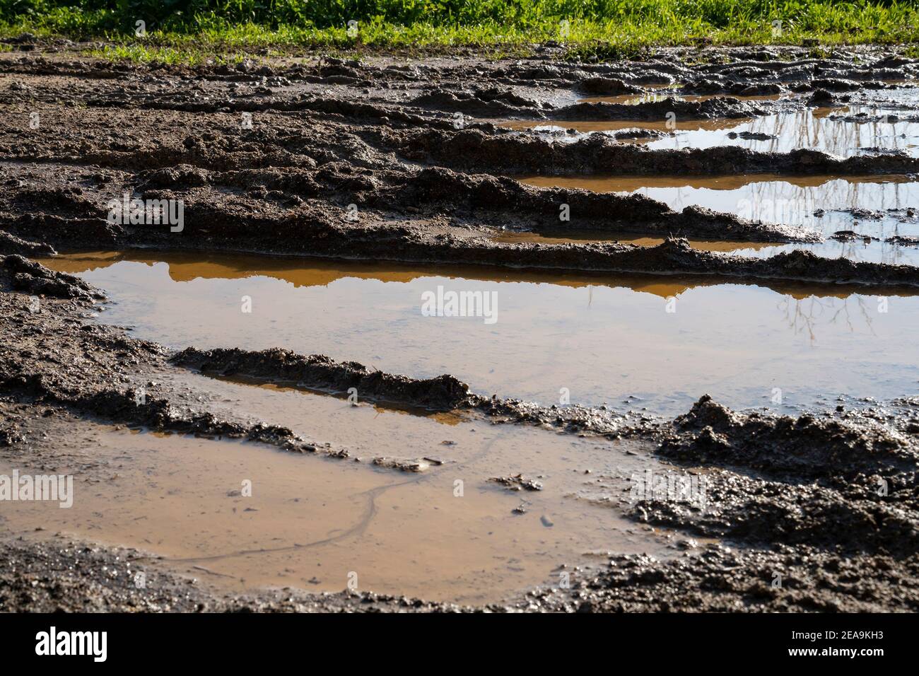 Una strada fangosa con pozzanghere acquatiche e piste da gommista, in una giornata di sole. Foto Stock