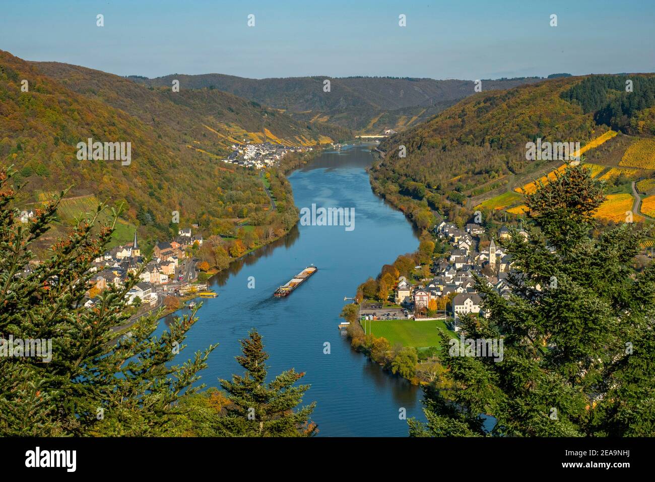 Vista dalla torre Prinzenkopf per Alf e Bullay, Valle della Mosella, Renania-Palatinato, Germania Foto Stock