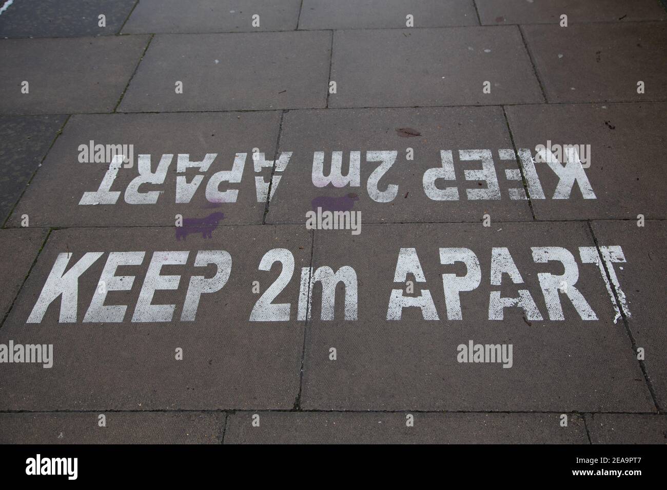 Snow in London social Distance Signs - 08/02/2021 Credit: London Evening Standard/Alamy Live News Foto Stock