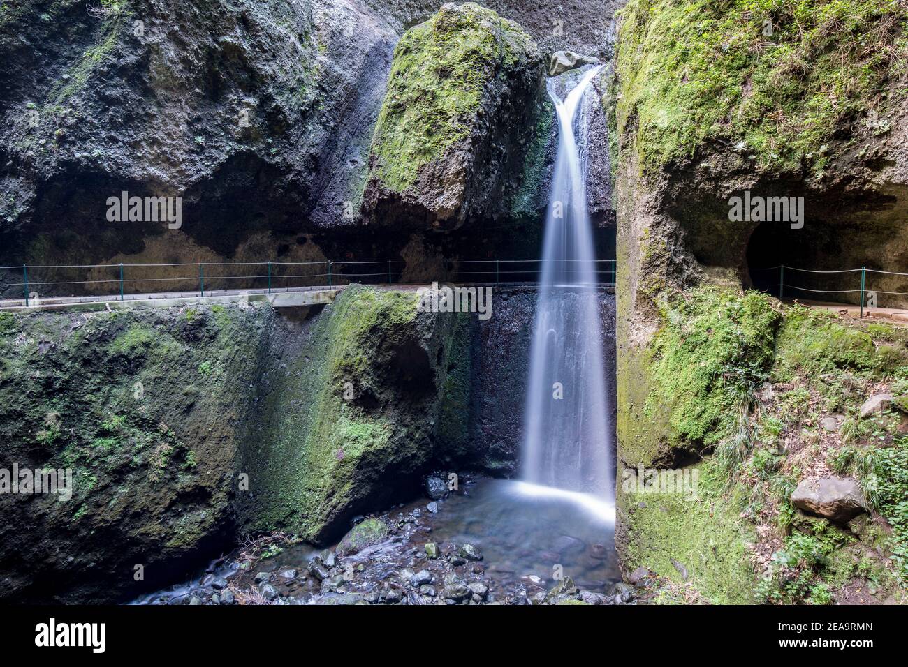 Cascata Levada Nova a Madeira Foto Stock