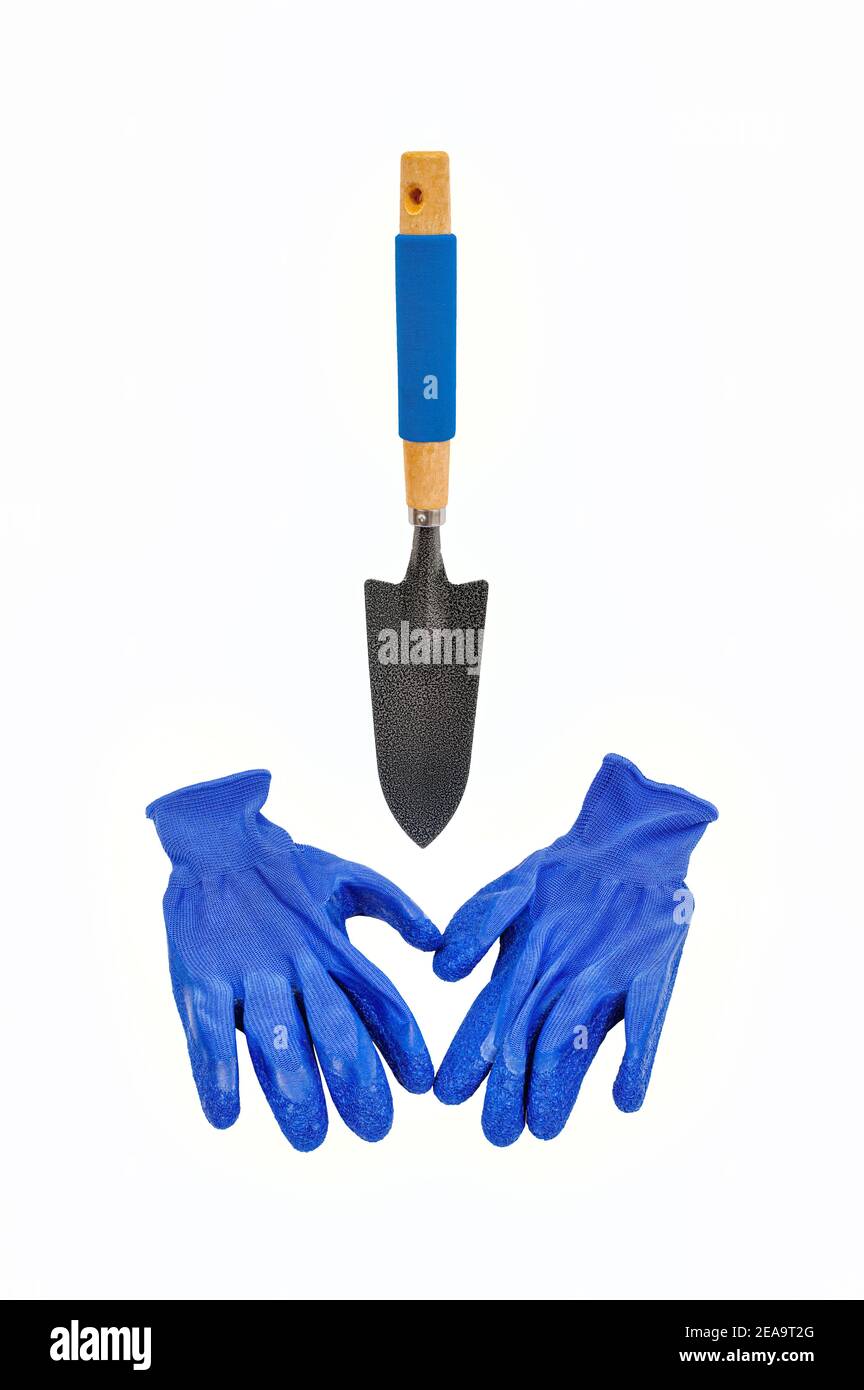 Ripresa verticale di un paio di guanti da giardinaggio blu sotto una cazzuola su sfondo bianco. Foto Stock