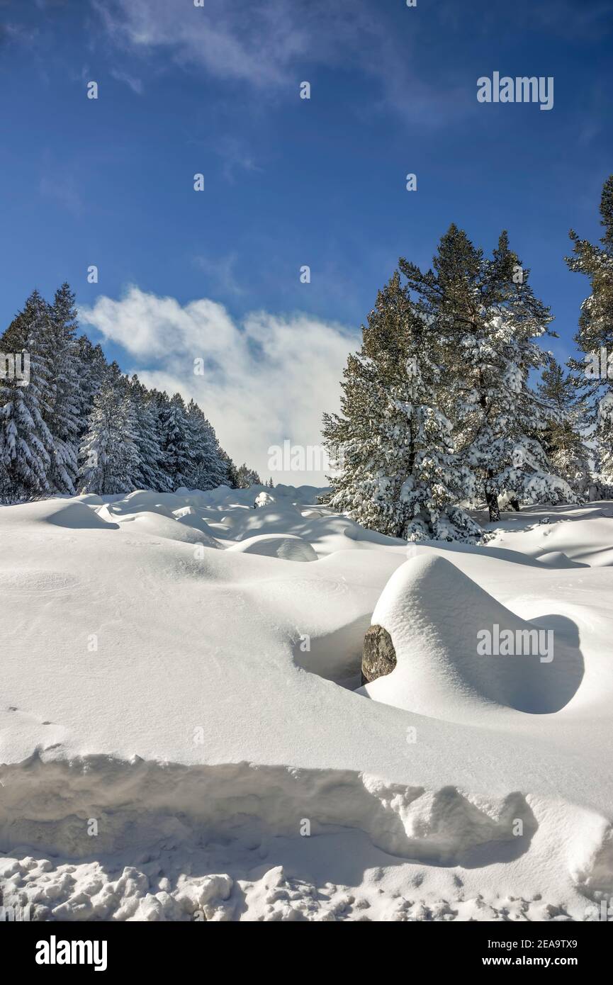 Inverno in montagna;Monte Vitosha;Bulgaria; Foto Stock