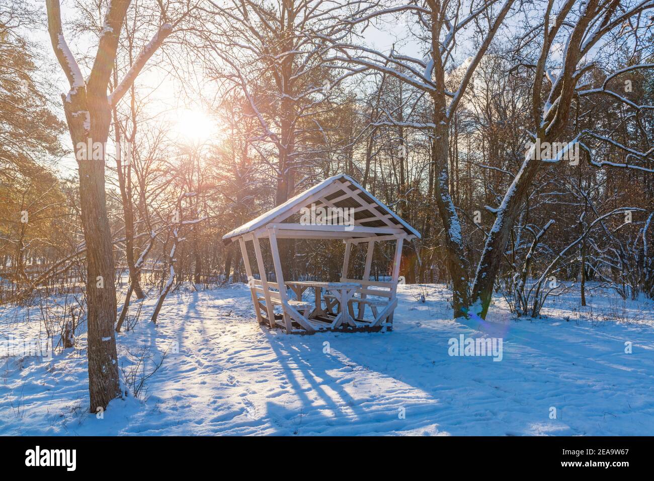 Casa giardino in legno nel parco invernale. Padiglione per il riposo nel parco Foto Stock