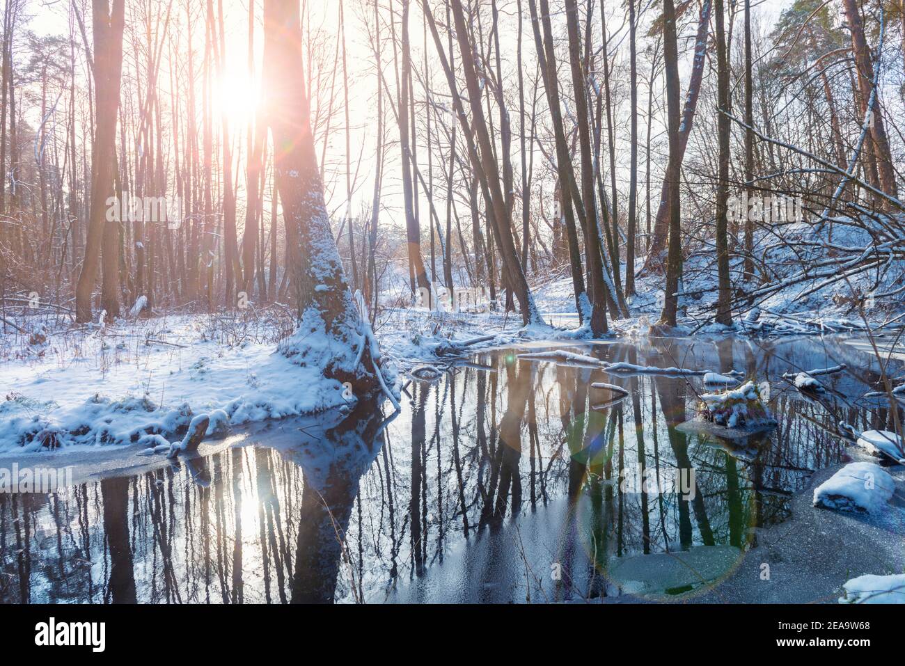 Favola invernale. Bellissimo specchio lago profondo nella foresta invernale Foto Stock