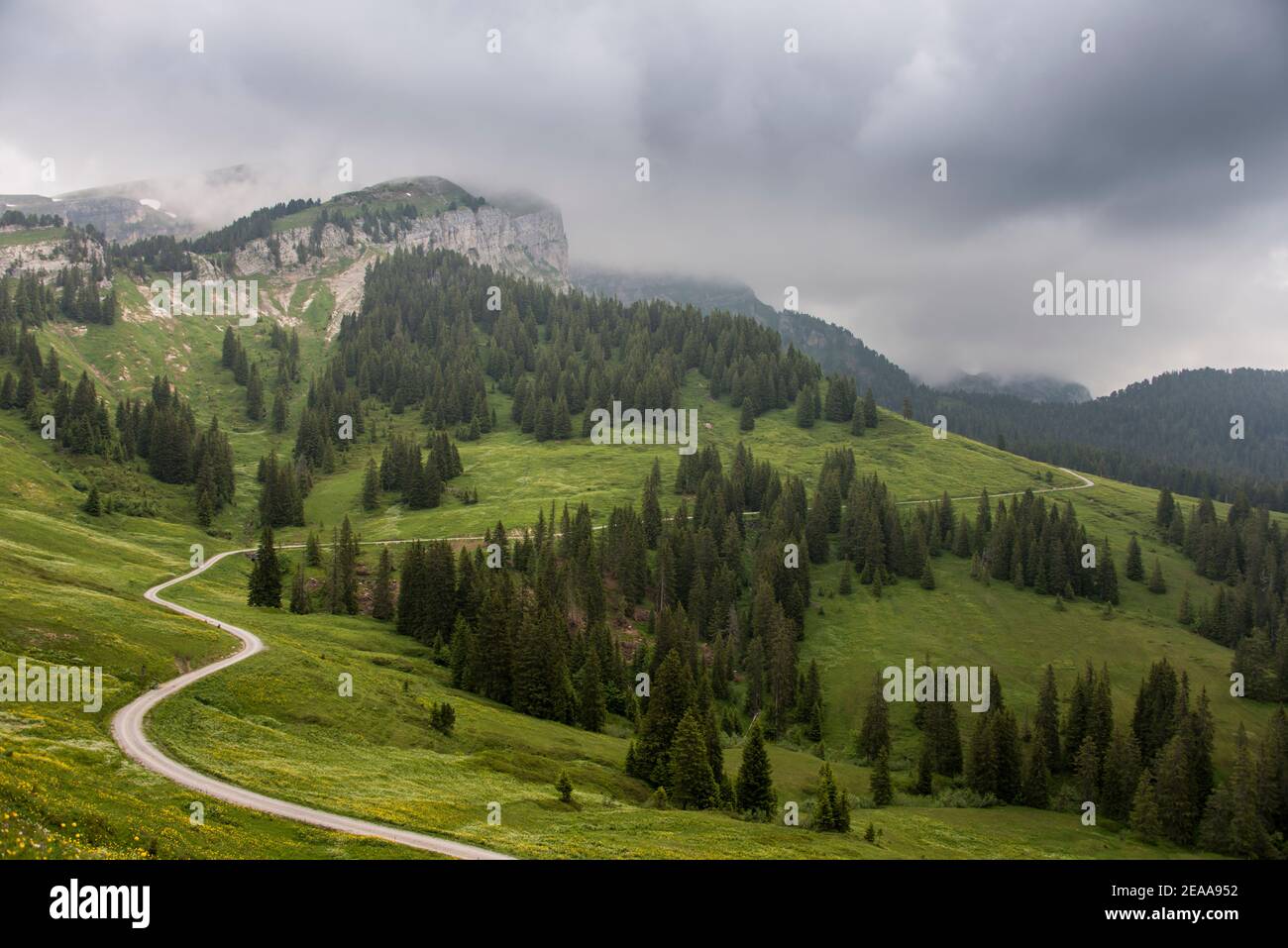 Sentiero escursionistico ai piedi delle Alpi Foto Stock