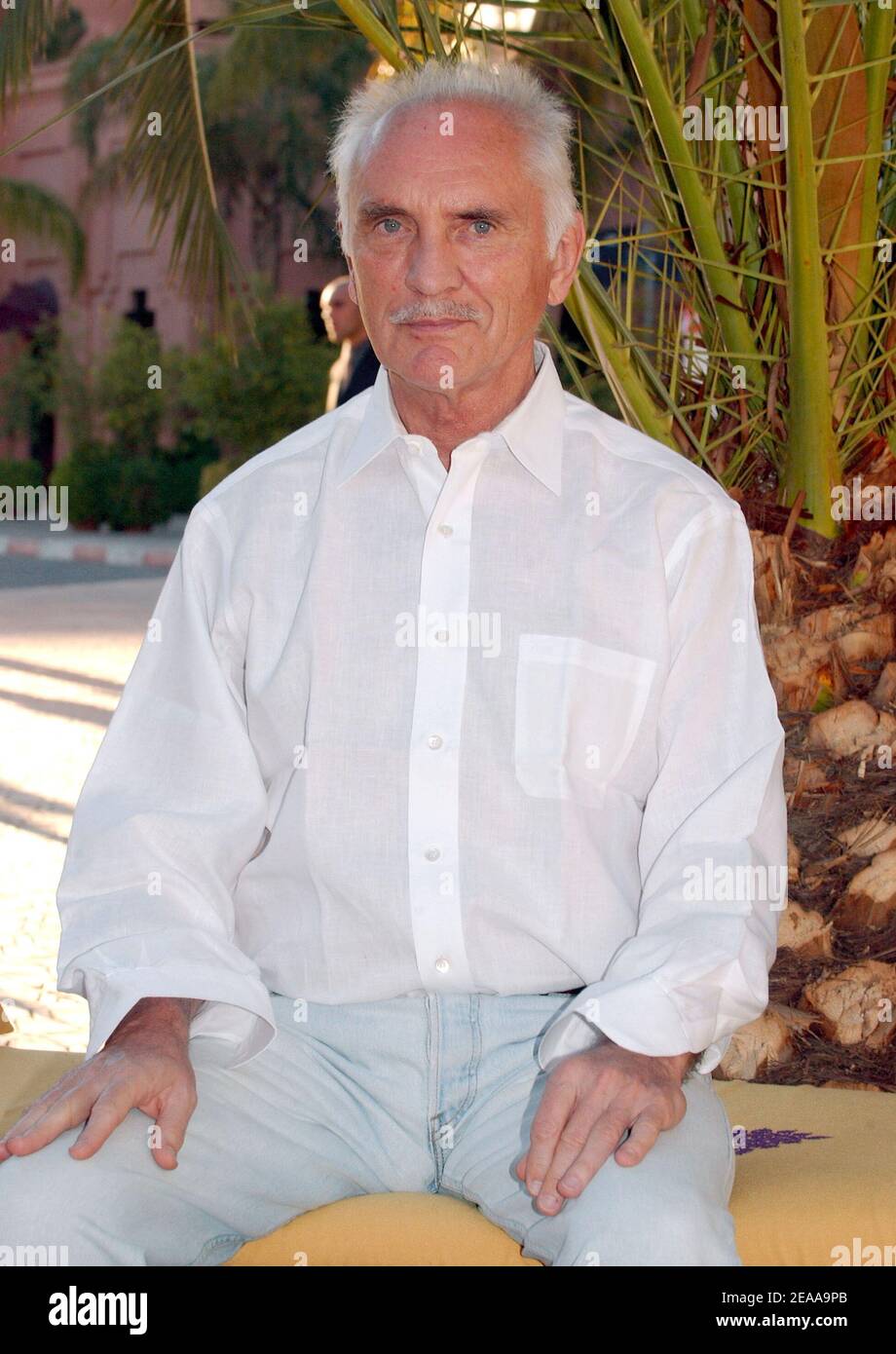 L'attore britannico Terence Stamp si pone ad una fotocellula durante il 5° Festival Internazionale del Film di Marrakech, in Marocco, il 12 novembre 2005. Foto di Bruno Klein/ABACAPRESS.COM Foto Stock