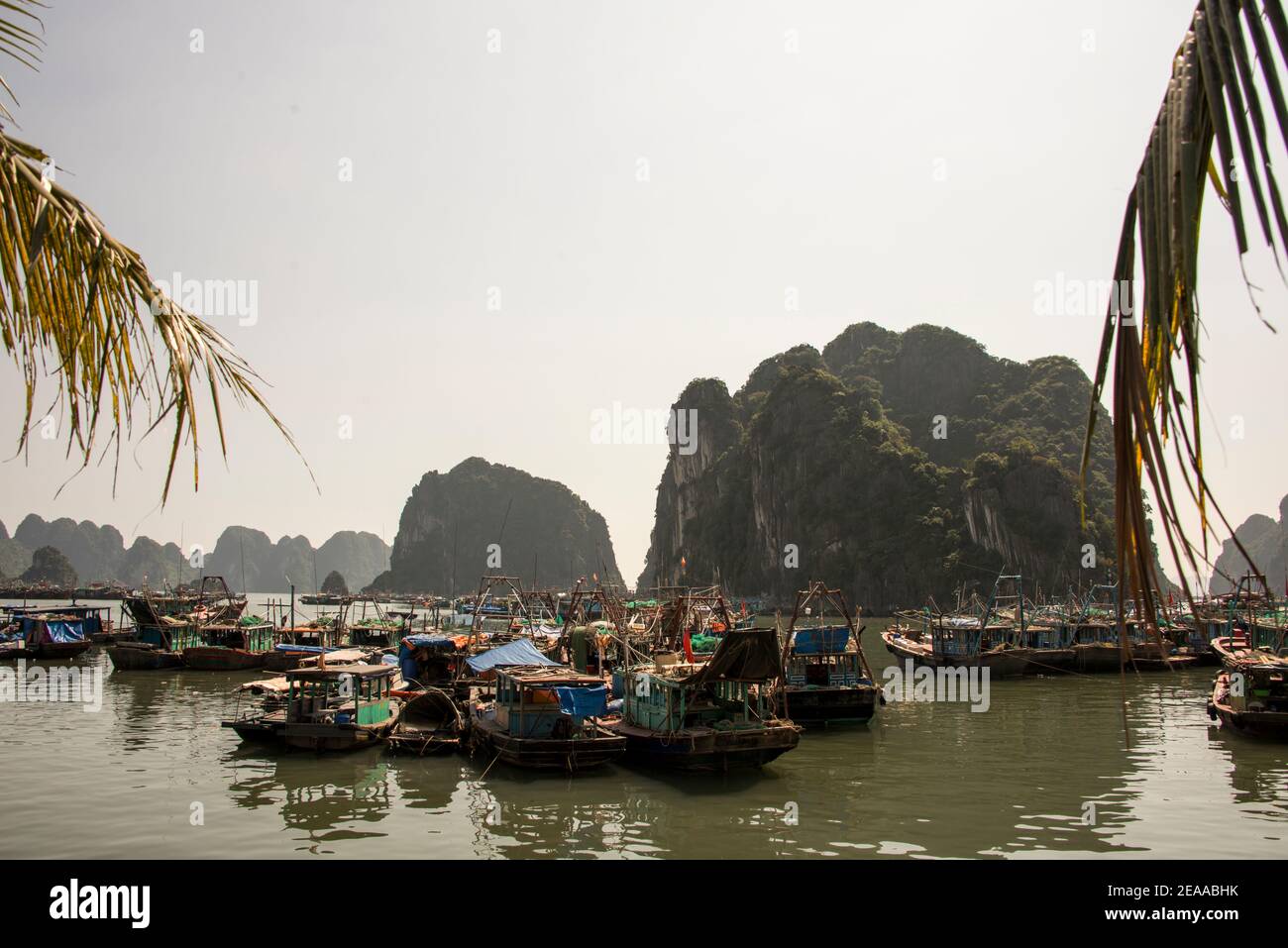 Porto di pesca a Halong Bay, Vietnam Foto Stock