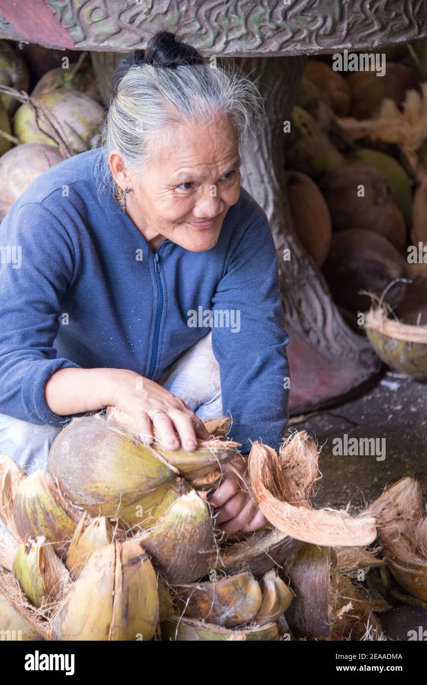 Donna anziana che raccoglie conchiglie di cocco, Vietnam Foto Stock