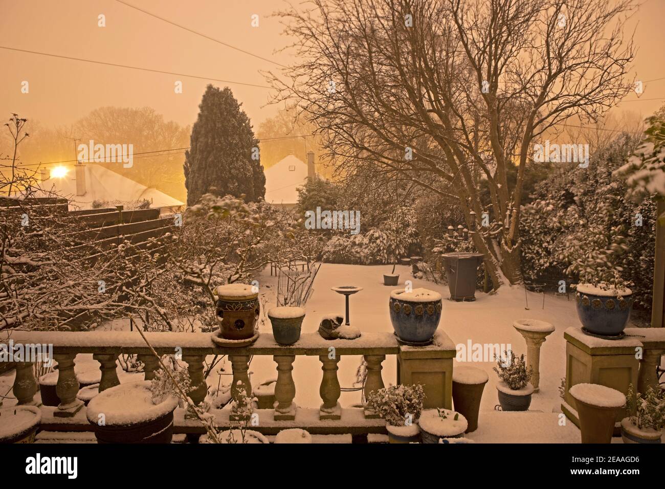 Edimburgo, Scozia, Regno Unito. 8 febbraio 2021. Neve pesante che cade a est della città, con più attesa di notte e verso domani. Nella foto: Giardino posteriore con ringhiera e vasi di fiori in luce naturale. Foto Stock