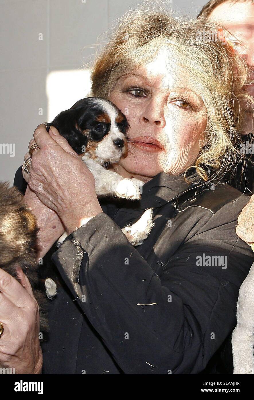 La leggenda del cinema francese Brigitte Bardot, ora feroce difensore degli animali, visita un centro di protezione degli animali a Nizza, nel sud della Francia, il 28 dicembre 2005, dove furono portati cani ungheresi trovati su camion illegali. I 146 giovani cani sono stati scoperti dalla polizia francese durante un controllo di pattuglia su misura nelle Alpi Marittime mentre esportati dall'Ungheria alla Spagna su traffico illegale. Foto di ABACAPRESS.COM Foto Stock