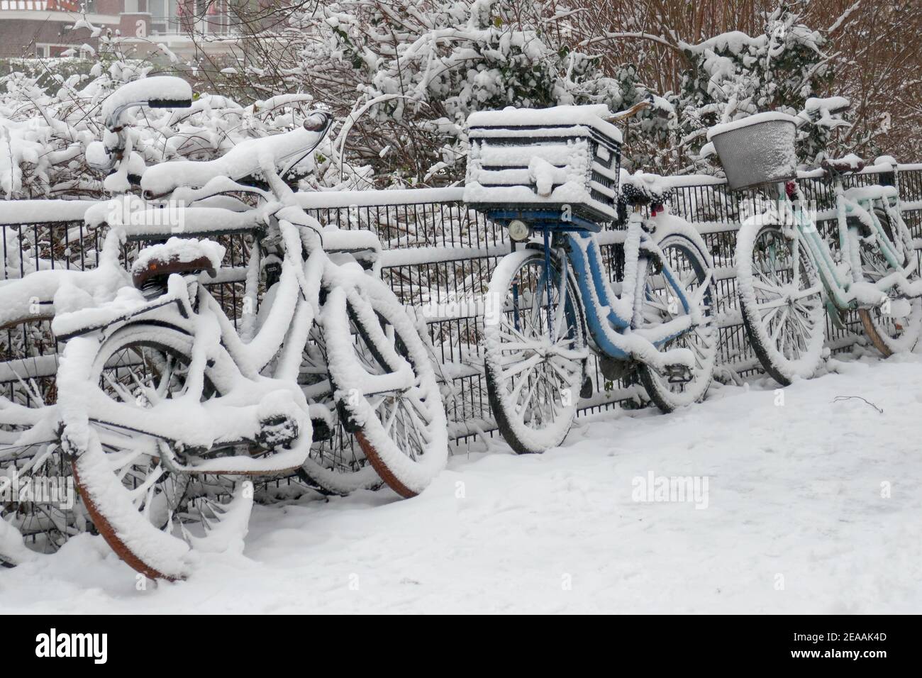 Biciclette coperte di neve in Olanda Foto Stock