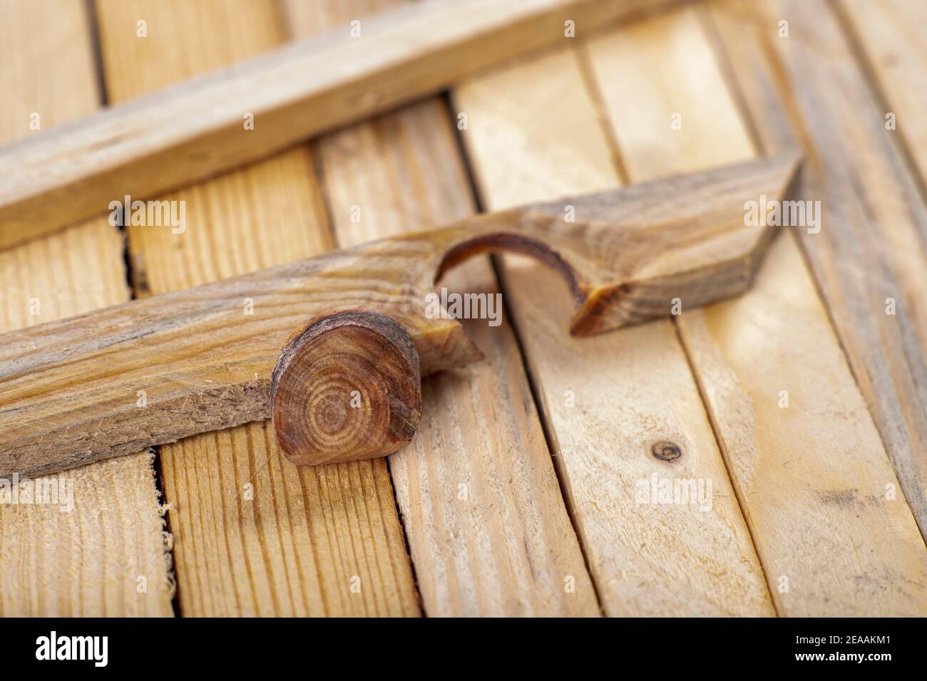 Un nodo duro in una grezza. Un nodo di un pezzo di legno. Sfondo chiaro. Foto Stock