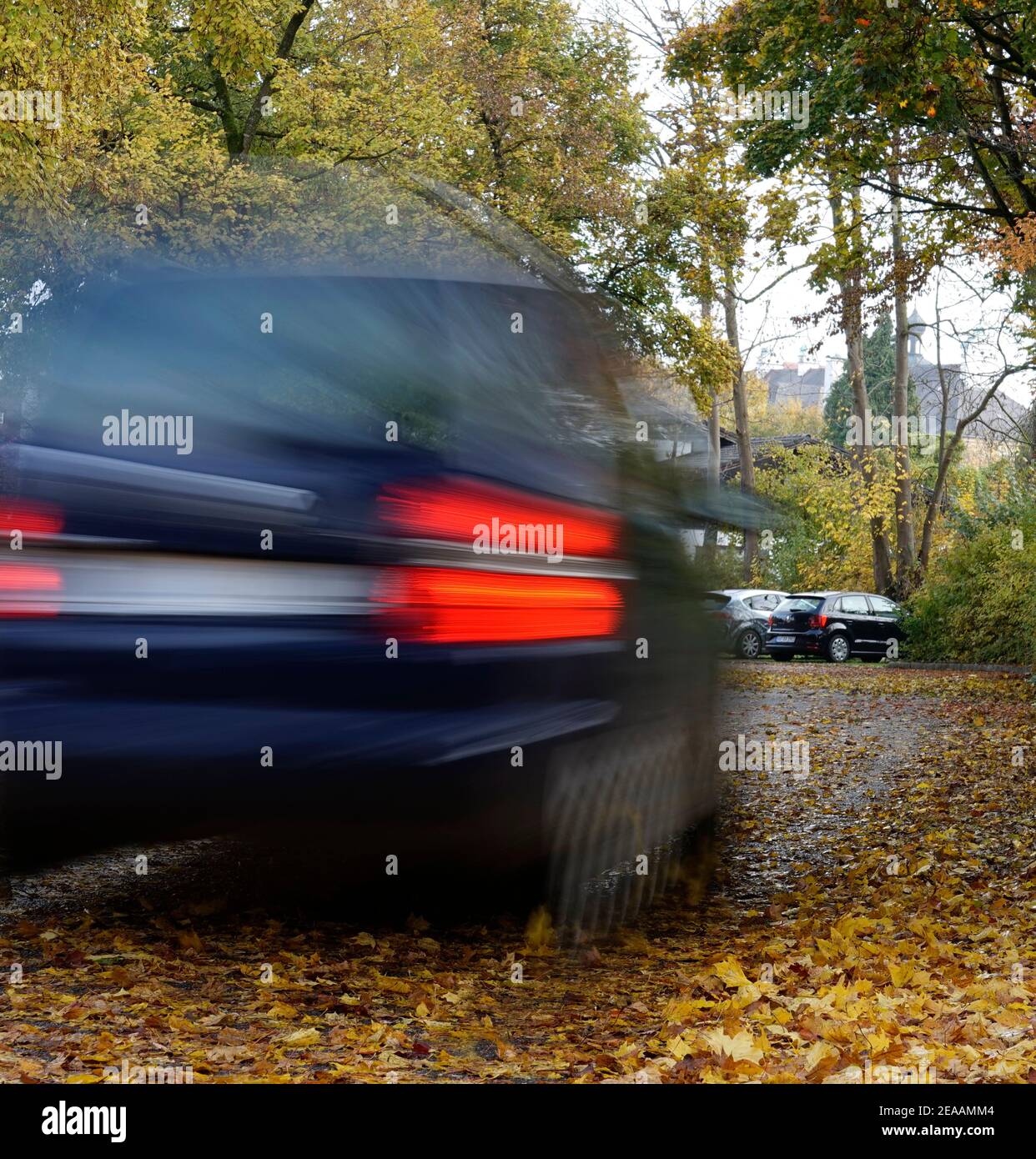 Germania, Baviera, foglie autunnali sulla strada, strada di campagna, alberi decidui, auto in movimento, rischio di scivolamento Foto Stock