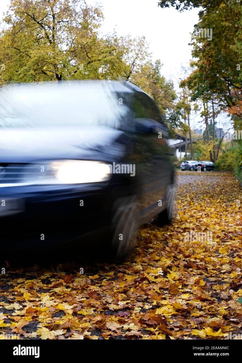 Germania, Baviera, foglie autunnali sulla strada, strada di campagna, alberi decidui, auto in movimento, rischio di scivolamento Foto Stock