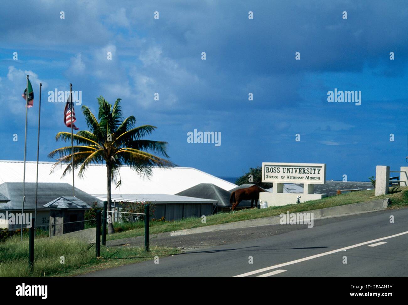 St Kitts Ross University - Scuola di Medicina veterinaria Foto Stock