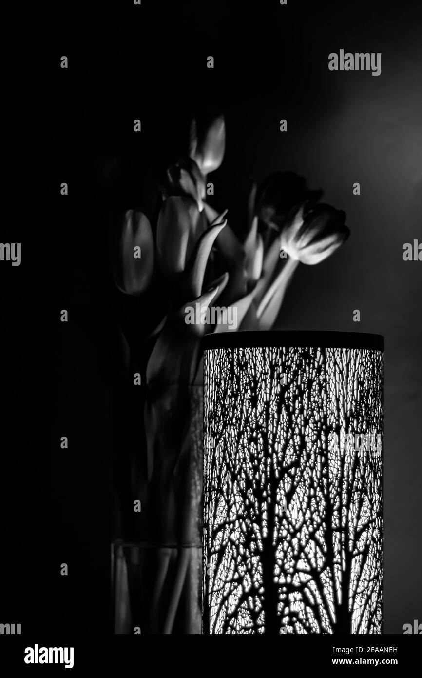foto in bianco e nero di tulipani in un vaso dietro una lampada con un motivo forestale. Fotografia in scala di grigi Foto Stock