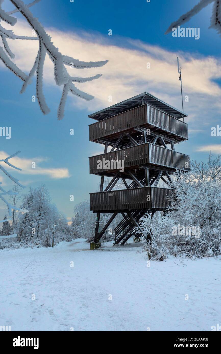 Torre di osservazione sull'Erbeskopf (816 m), la montagna più alta della Renania-Palatinato, Parco Nazionale di Hunsrück-Hochwald, Renania-Palatinato, Germania Foto Stock