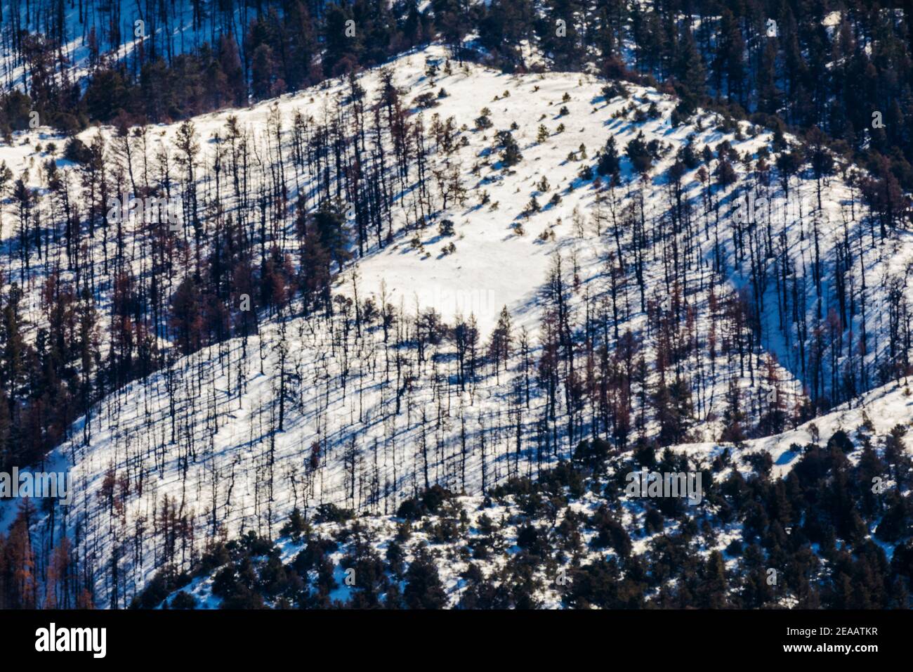 Vento soffiato neve coperto Simmons Peak; altitudine 12.050'; vicino a Salida; Colorado; USA Foto Stock