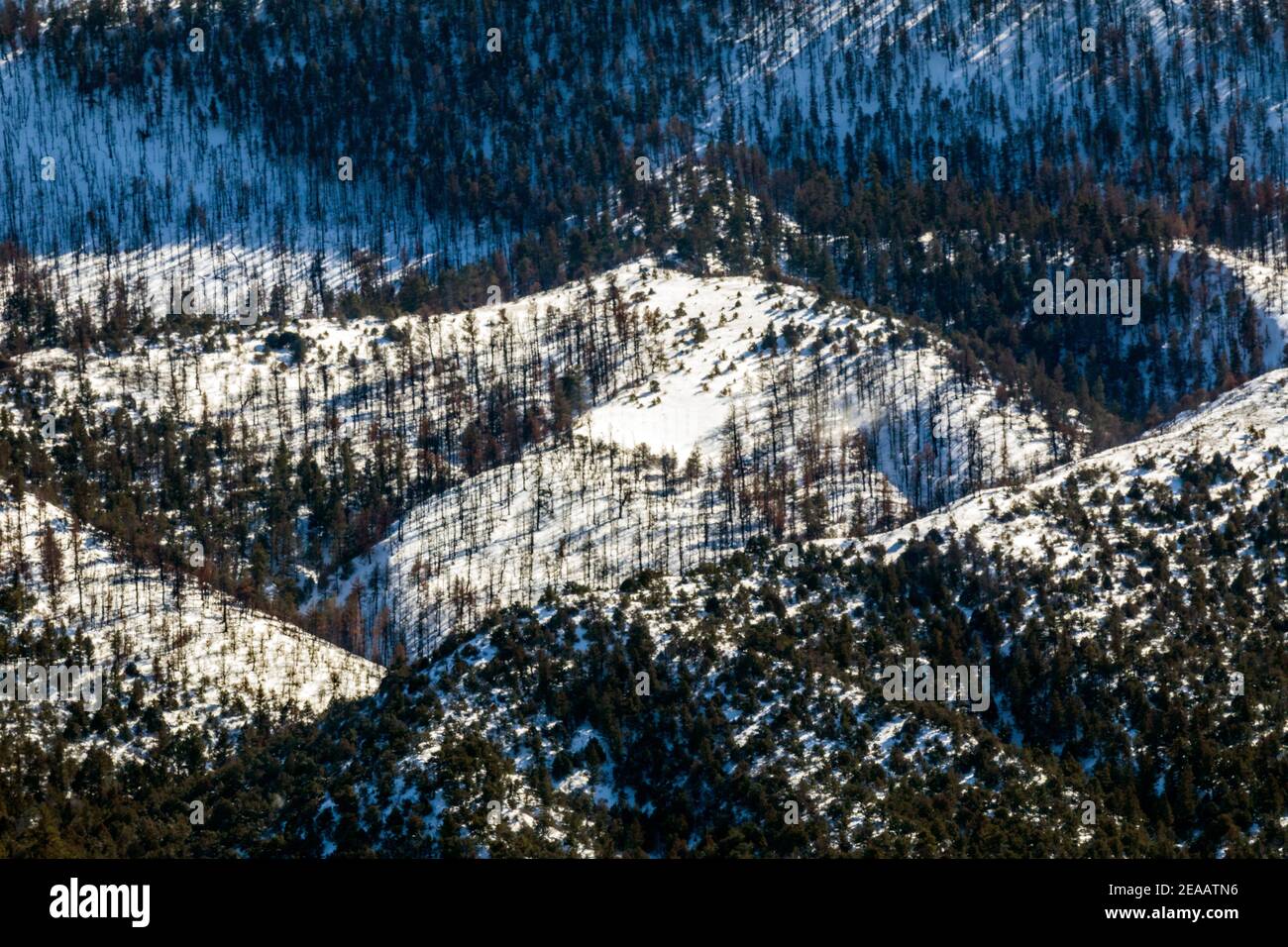 Vento soffiato neve coperto Simmons Peak; altitudine 12.050'; vicino a Salida; Colorado; USA Foto Stock