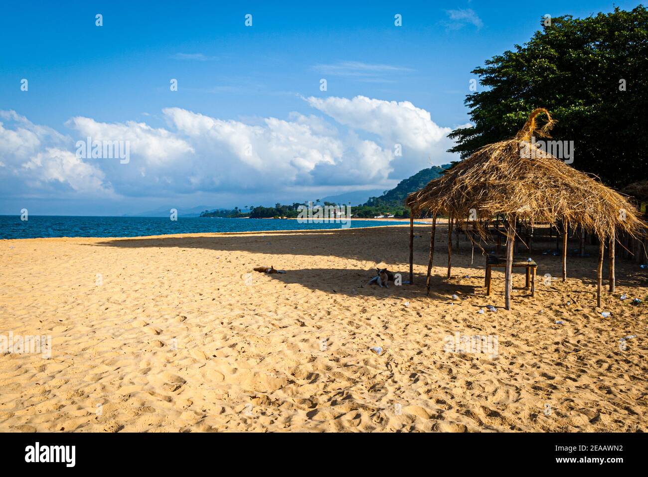 Sulle coste dell'Area Rurale Occidentale (Sierra Leone) la foresta pluviale raggiunge le splendide spiagge Foto Stock