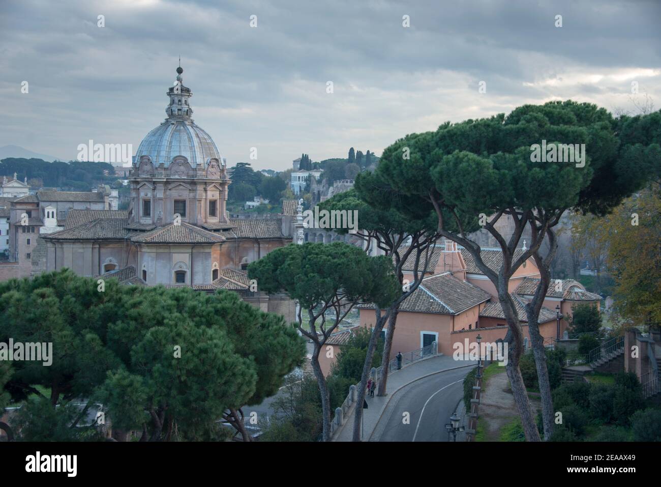 Vista sulla città con alberi di pino, Roma Foto Stock