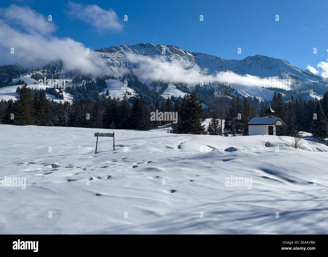 Sciatori di fondo su un sentiero, Langläufer auf einer Loipe a Oberjoch, Baviera, Germania, 8 febbraio 2021. © Peter Schatz / Alamy Live News Foto Stock