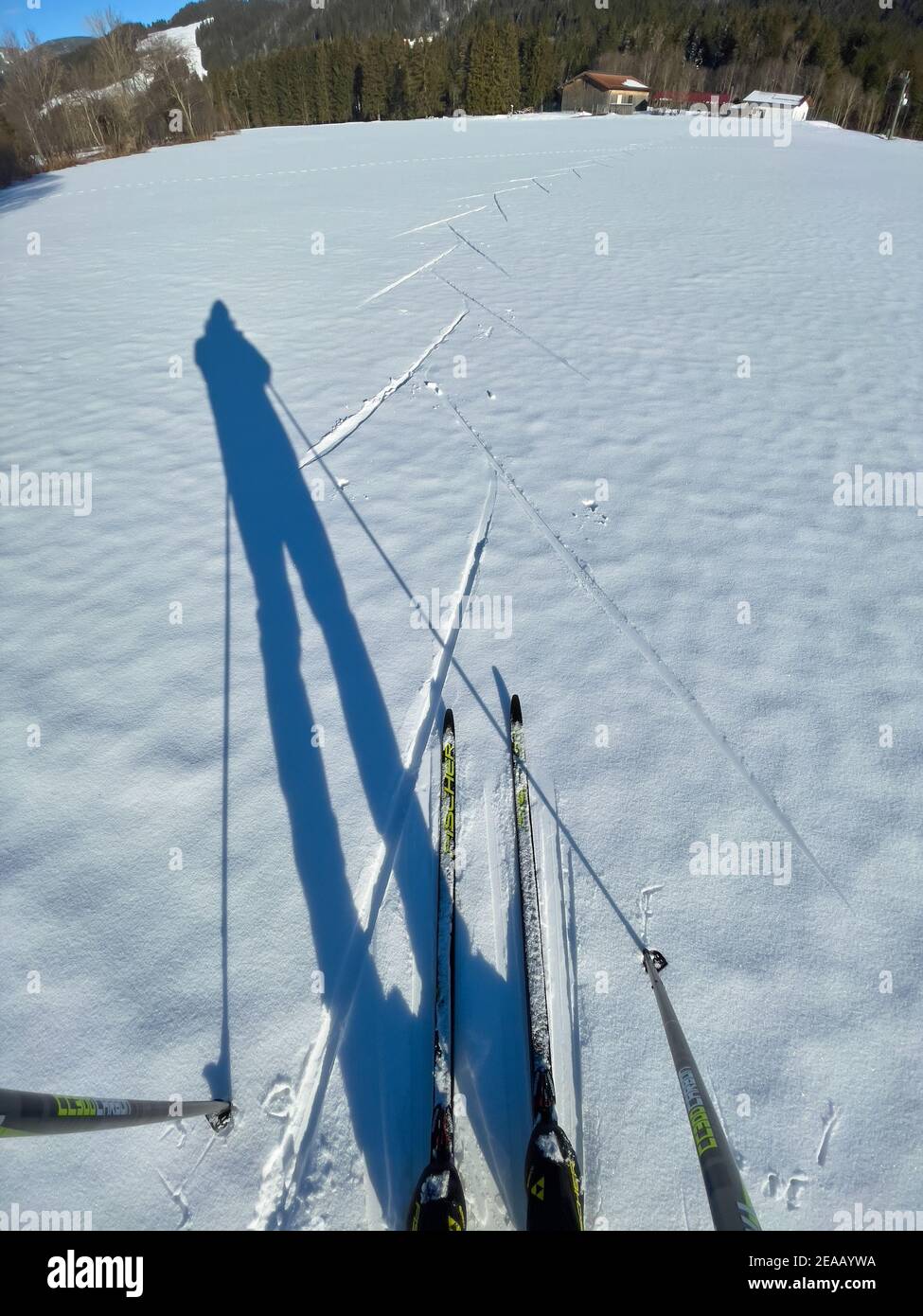 Sciatori di fondo su un sentiero, Langläufer auf einer Loipe a Oberjoch, Baviera, Germania, 8 febbraio 2021. © Peter Schatz / Alamy Live News Foto Stock