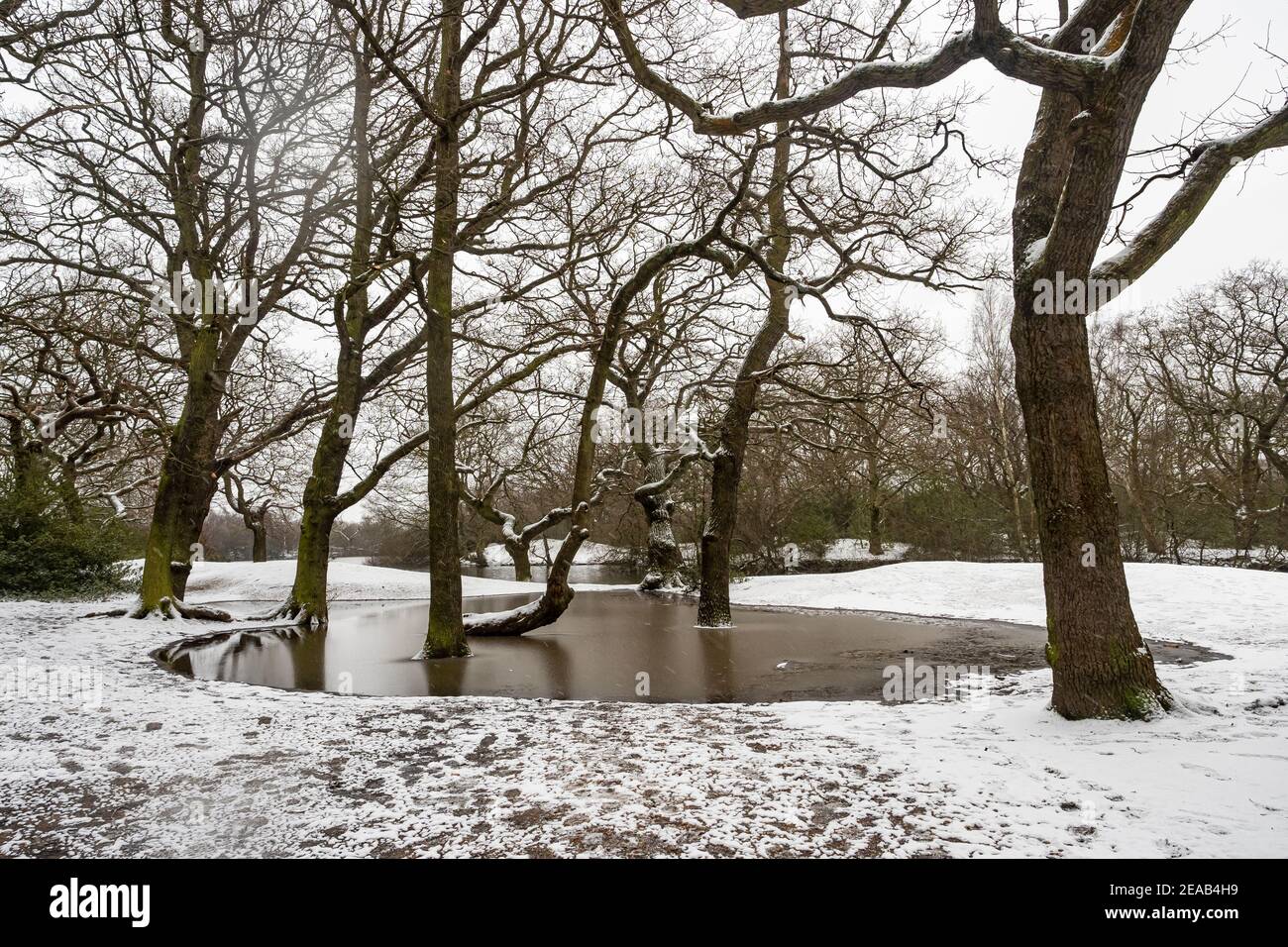 Paesaggio innevato in Hollow Pond, Leytonstone, Londra, Regno Unito. Foto Stock