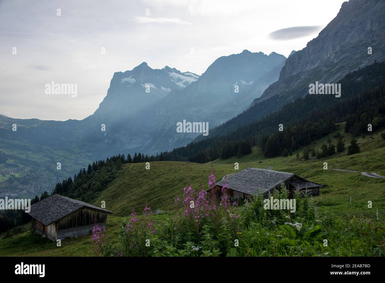 Alpigeln, Oberland Bernese, Svizzera Foto Stock