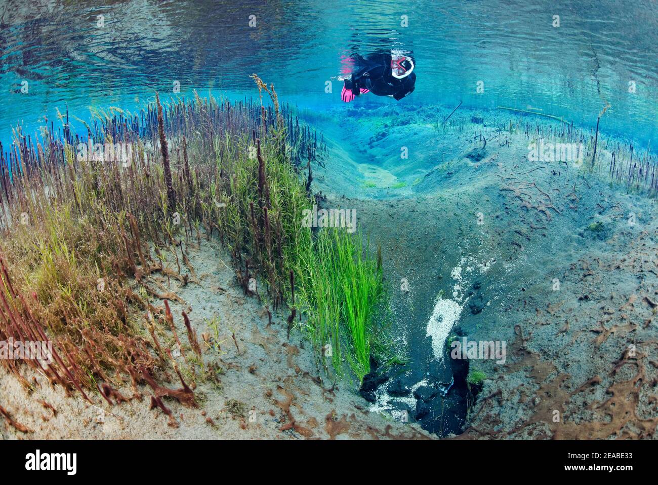 Vaso di primavera del piccolo fiume Litla nel nord dell'Islanda, subacquei in cristallo chiaro, geotermica riscaldato fiume, Akureyri, Islanda del Nord Foto Stock